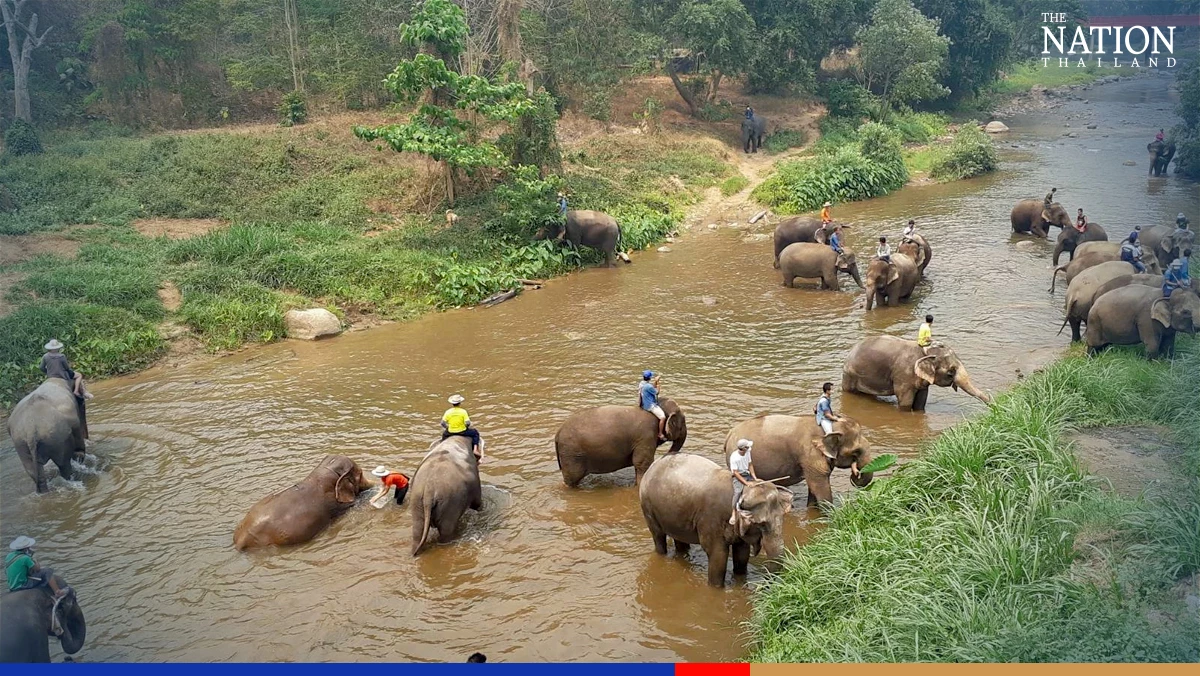 TAT expects Chiang Mai to attract 1 million visitors in next few months