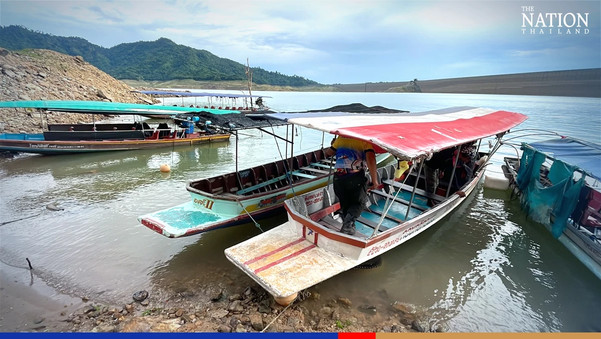 Look out! It’s a jungle out there