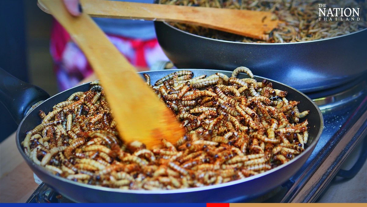 DITP seeks export boost of edible insects to US amid rising market buzz