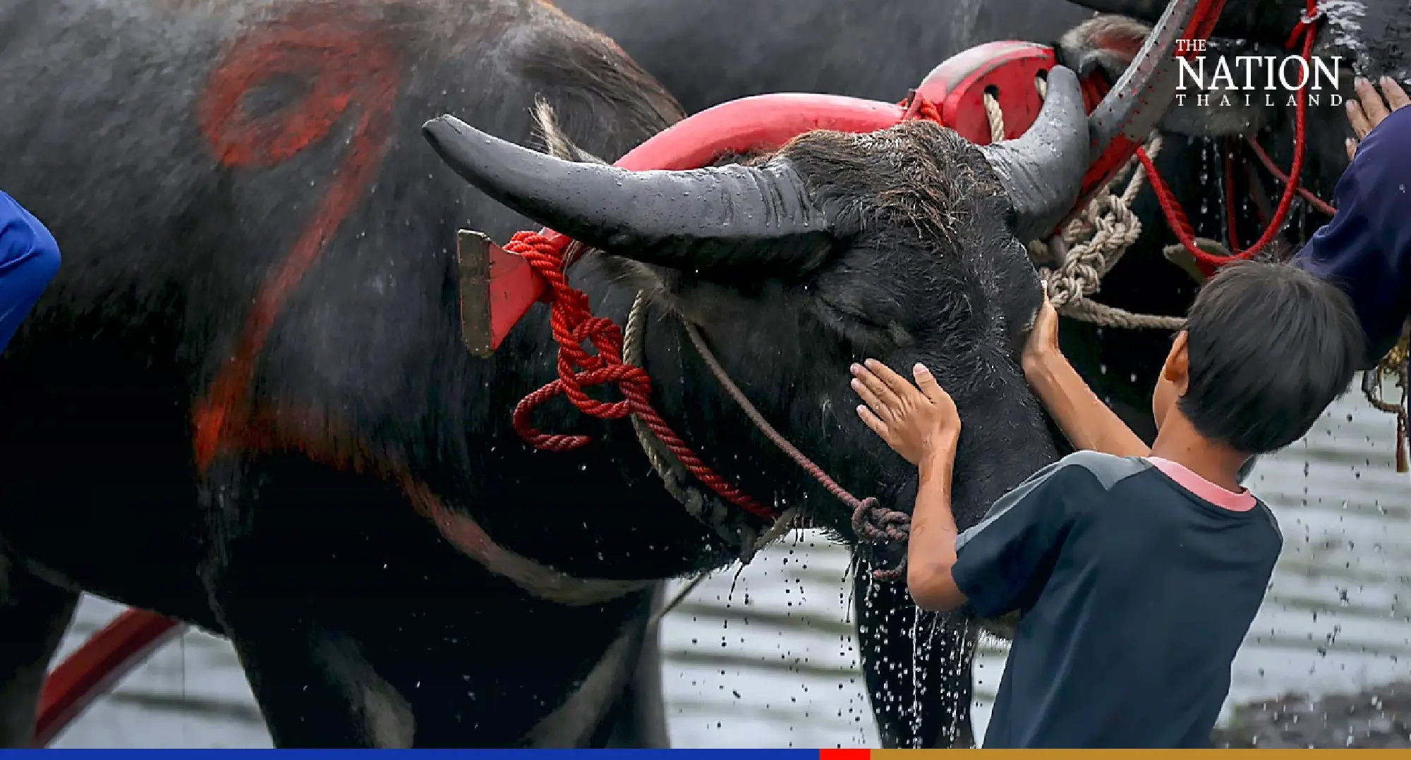 Photo Credit: Wanchai Kraisornkhajit