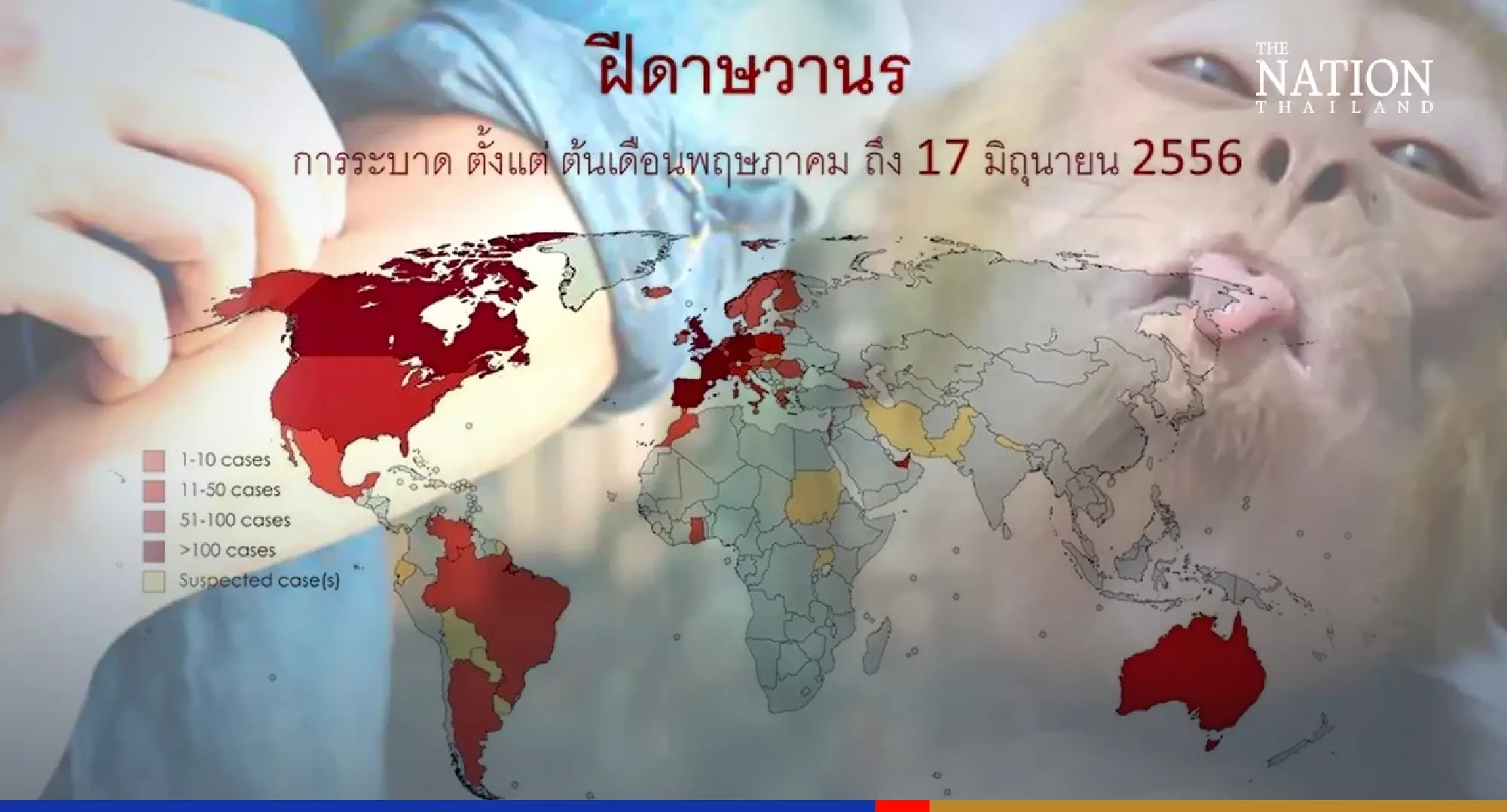 Virologist warns of monkeypox as tourists flood back to Thailand