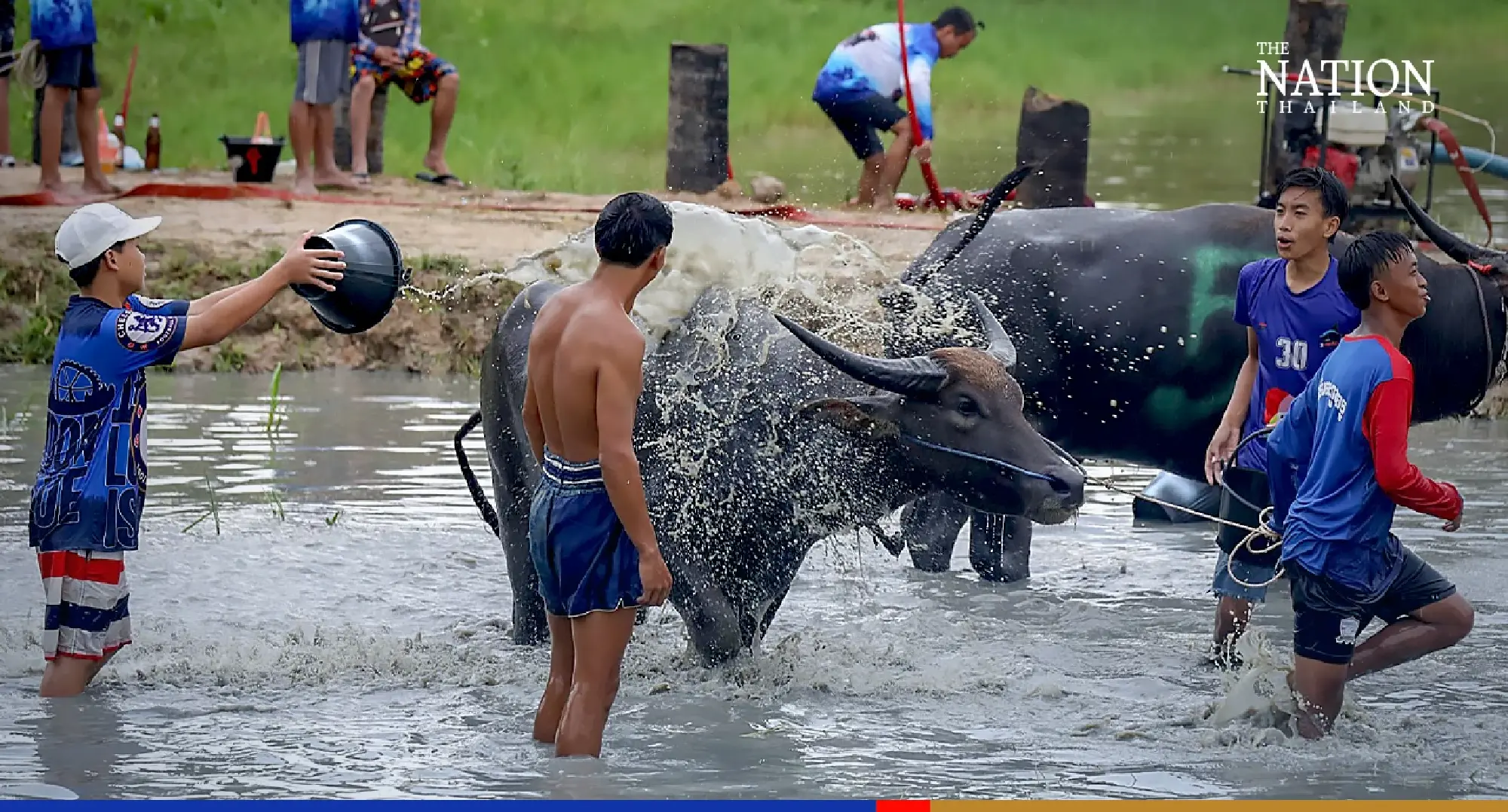 Photo Credit: Wanchai Kraisornkhajit