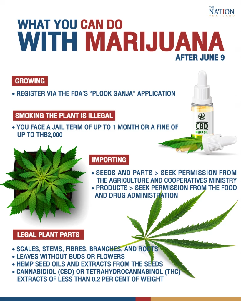 What you can and cannot do with cannabis and hemp