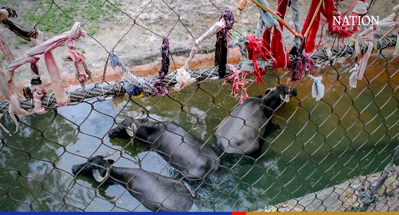 Uncovering the Thai secret at Disney World in Florida