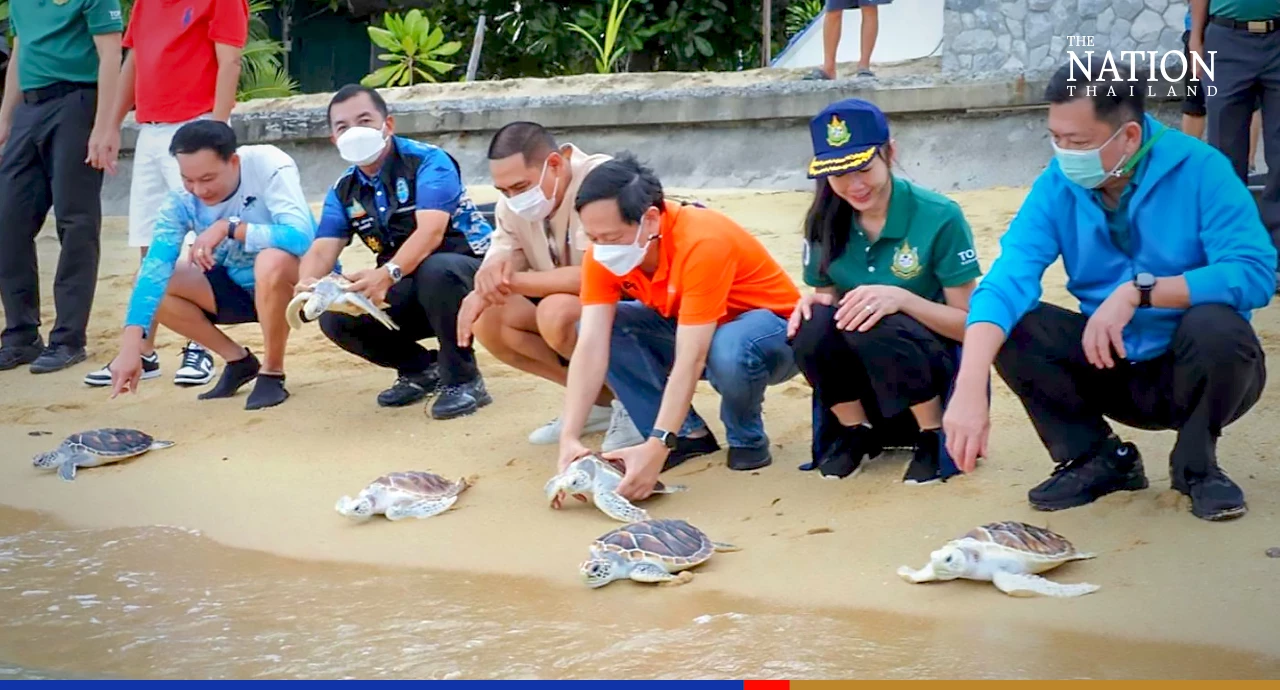 World Ocean Day to highlight Thailand’s battle with pollution threats