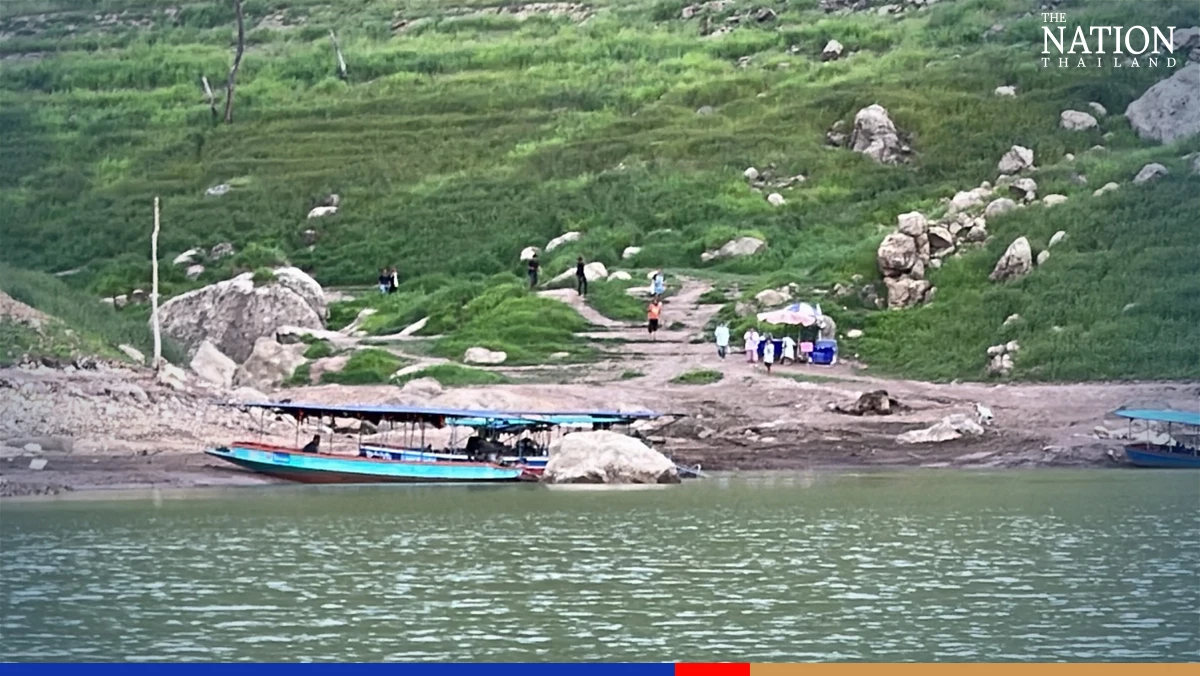 Look out! It’s a jungle out there