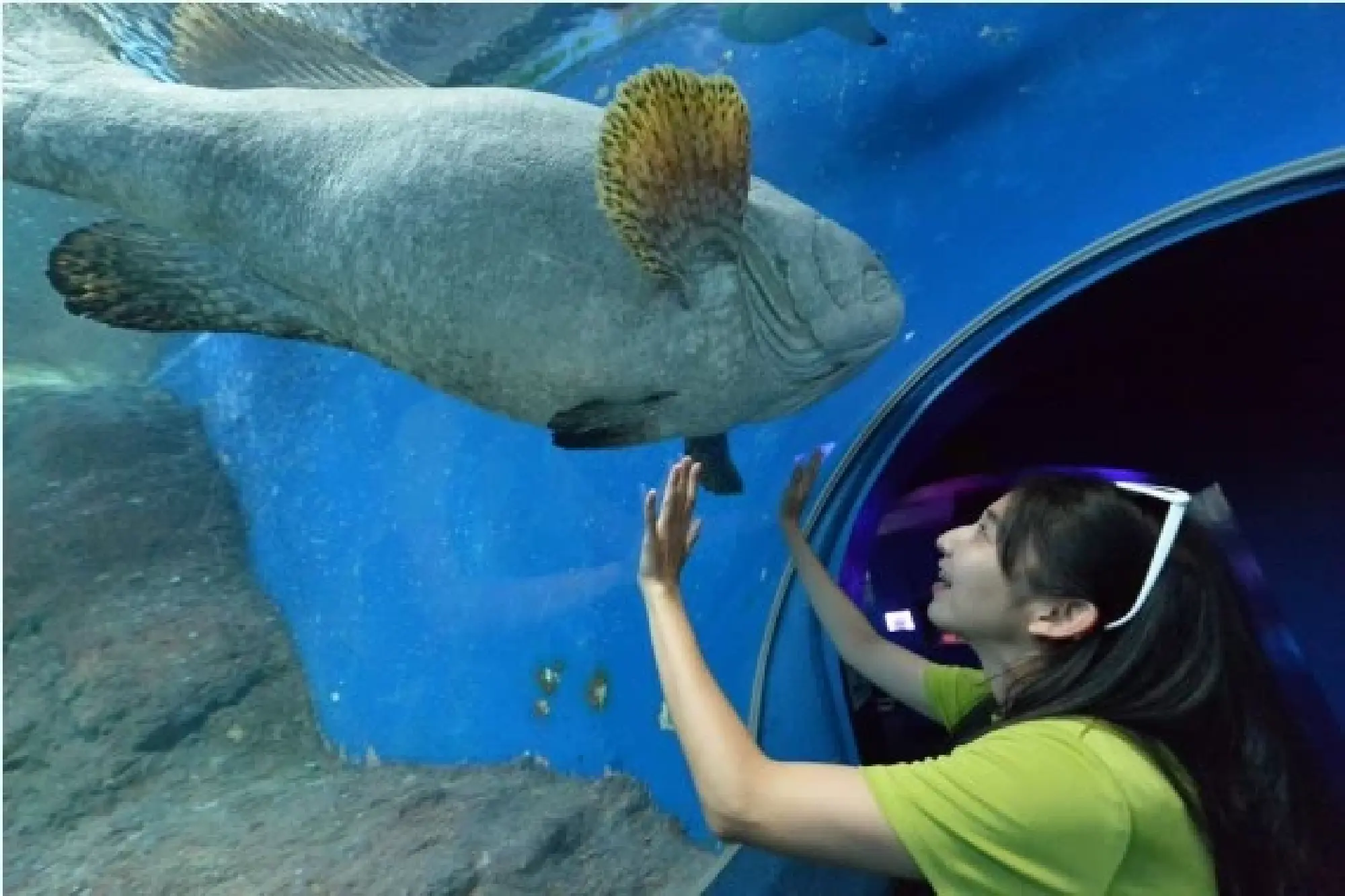 A tourist visits Underwater World Pattaya in Chonburi province, Thailand, on July 16, 2022. (Photo by Rachen Sageamsak/Xinhua)