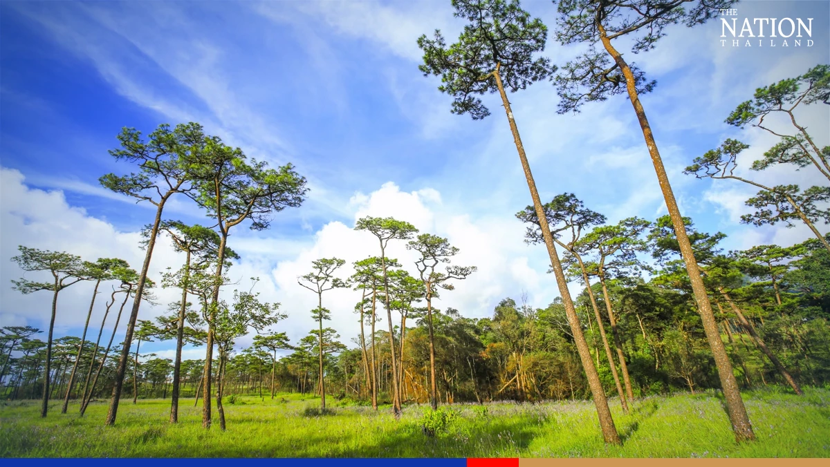 Thailand’s top five national parks for the rainy season