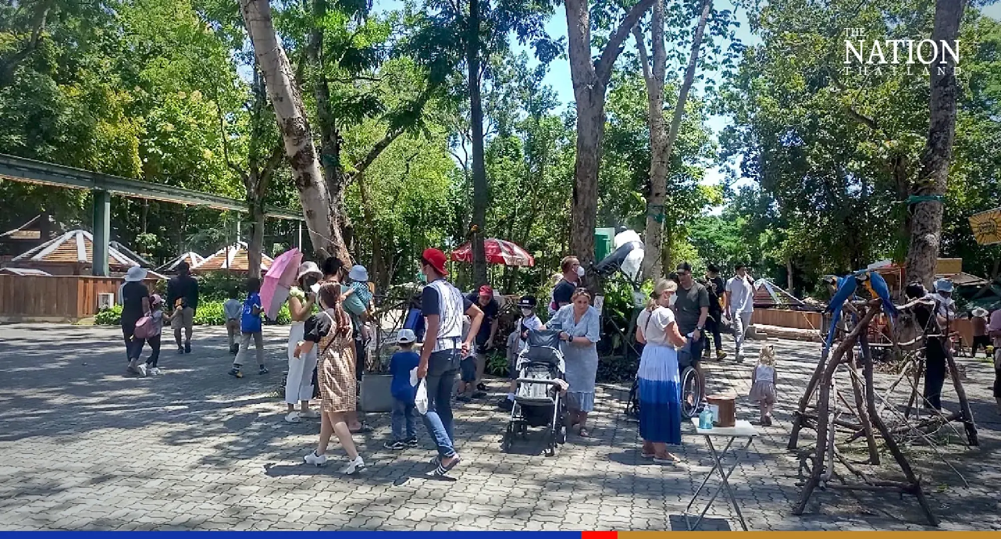 Panda-monium as Chiang Mai Zoo sets new visitor record
