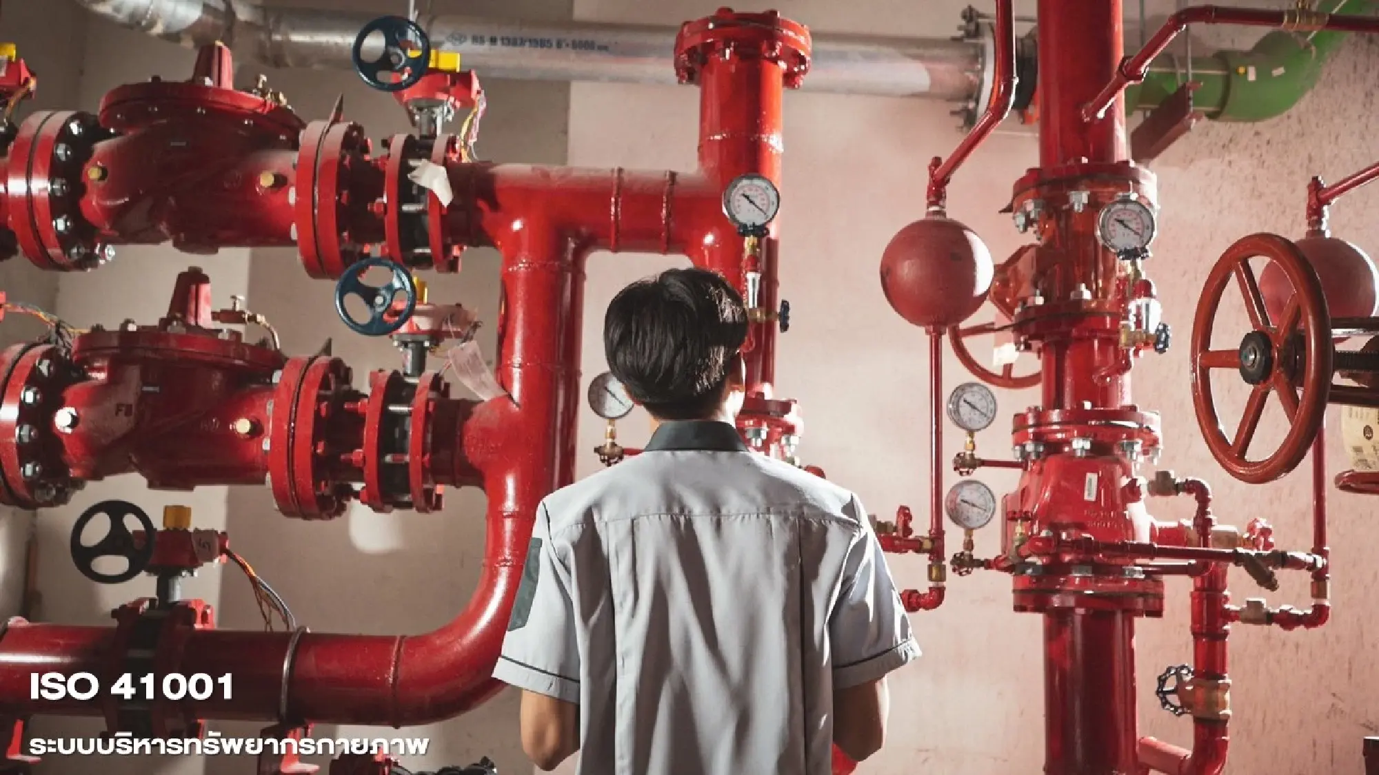 Plus Property Seizes No.1 for Quality Management Systems The First in Thailand Certified for 3 ISO Standards