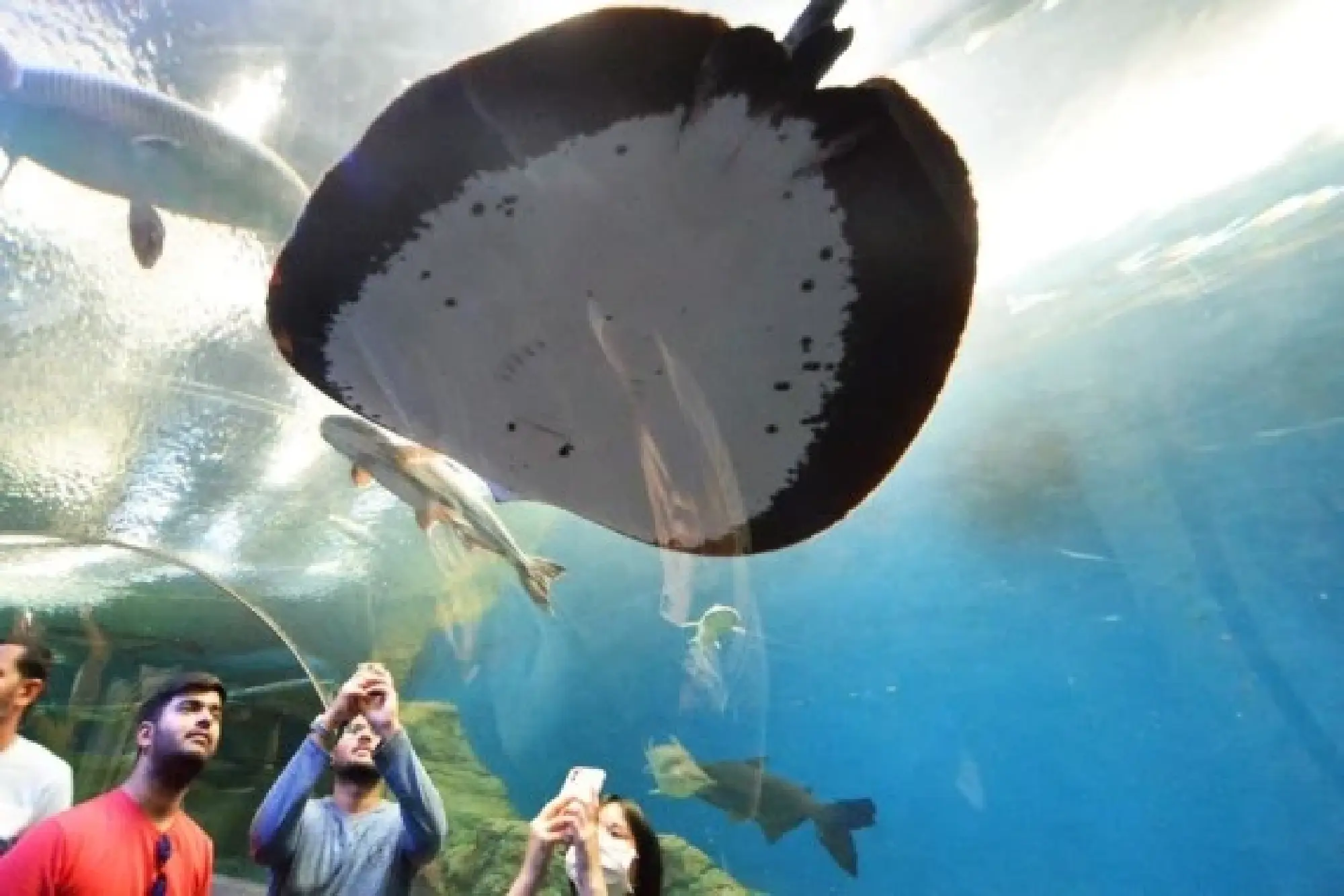 Tourists take photos at Underwater World Pattaya in Chonburi province, Thailand, on July 16, 2022. (Photo by Rachen Sageamsak/Xinhua)