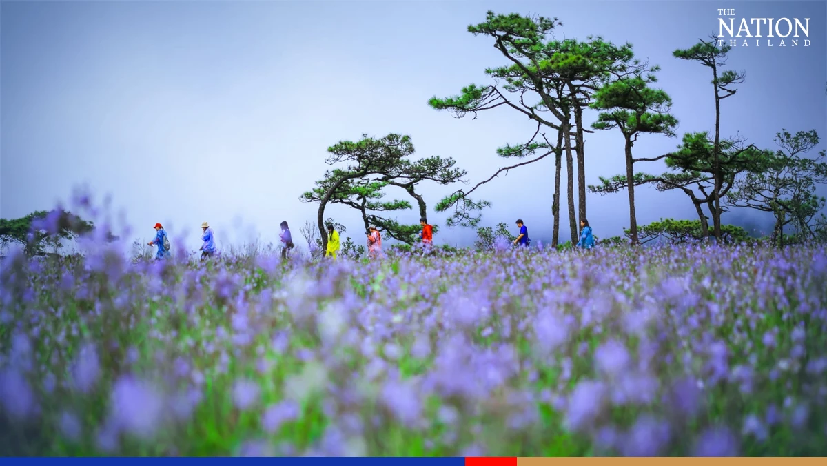 Thailand’s top five national parks for the rainy season