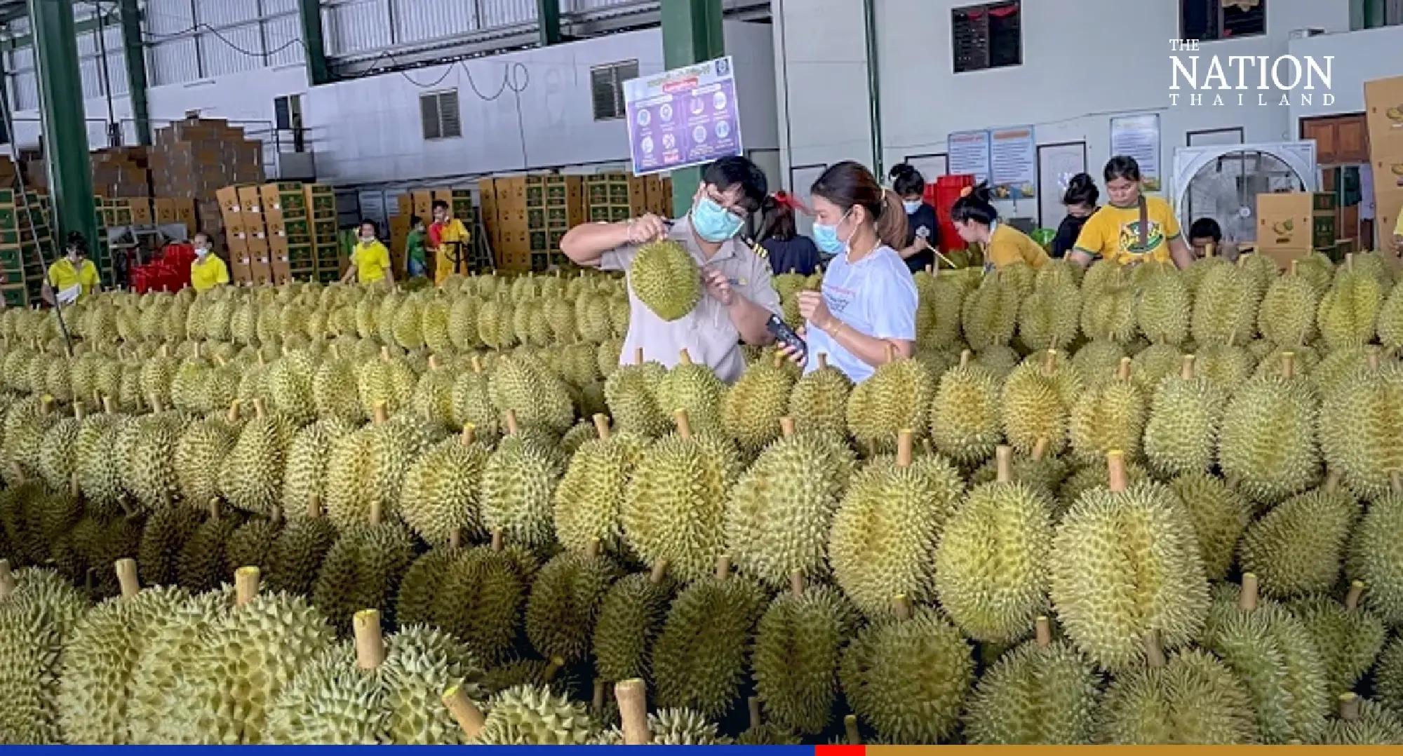 Thailand's farm exports rise over 28% in first 5 months