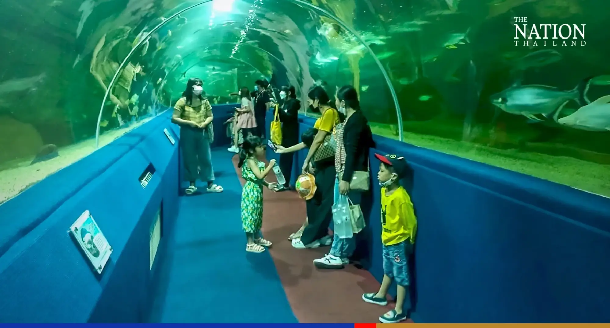 Panda-monium as Chiang Mai Zoo sets new visitor record