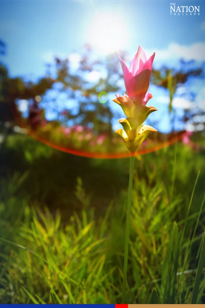 Thailand’s top five national parks for the rainy season