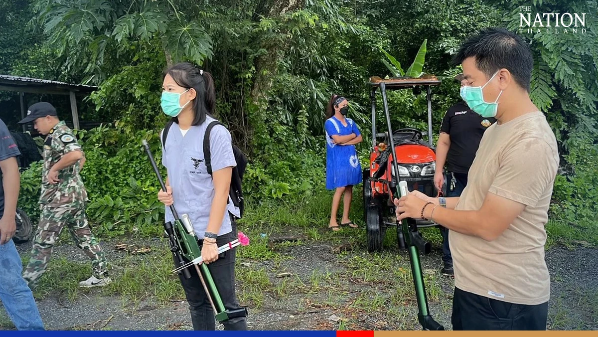 Officials rescue elephant calf from manhole in Nakhon Nayok