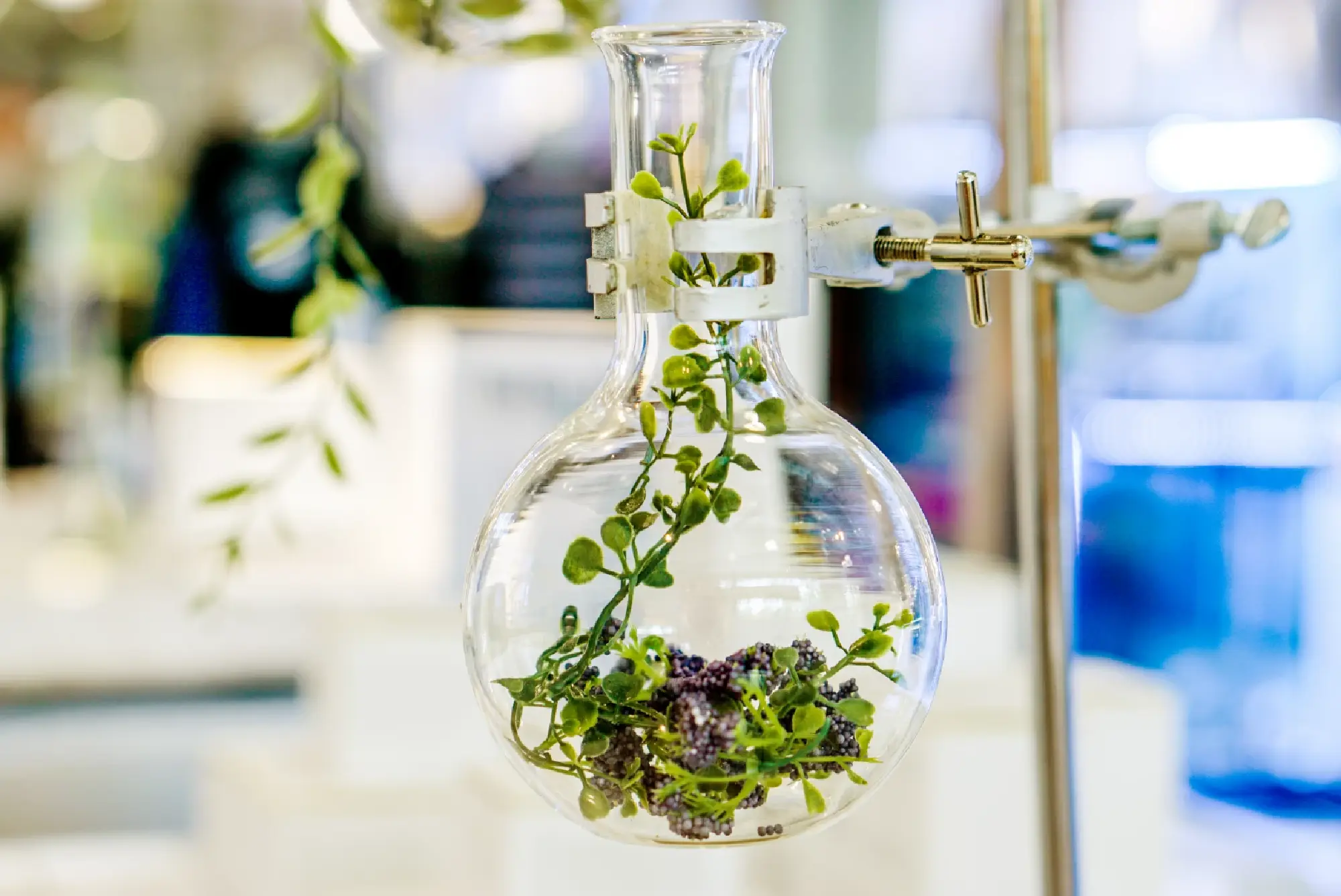 L\'Oreal moves towards the beauty of the future and holds full research on environmental science principles