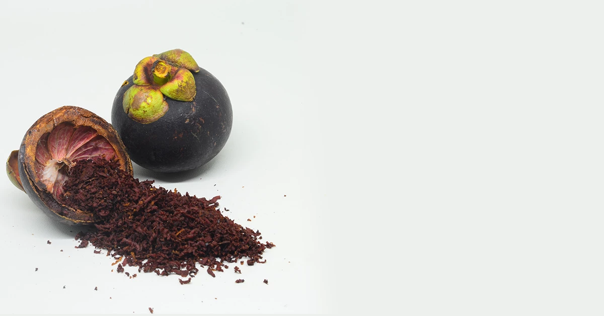 'Mangosteen' the queen of Thai fruits as Medicine