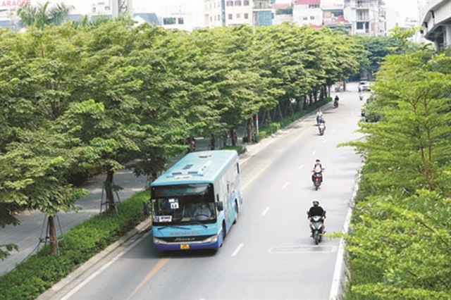 Hanoi greening urban roads as Vietnam pursues ambitious goal