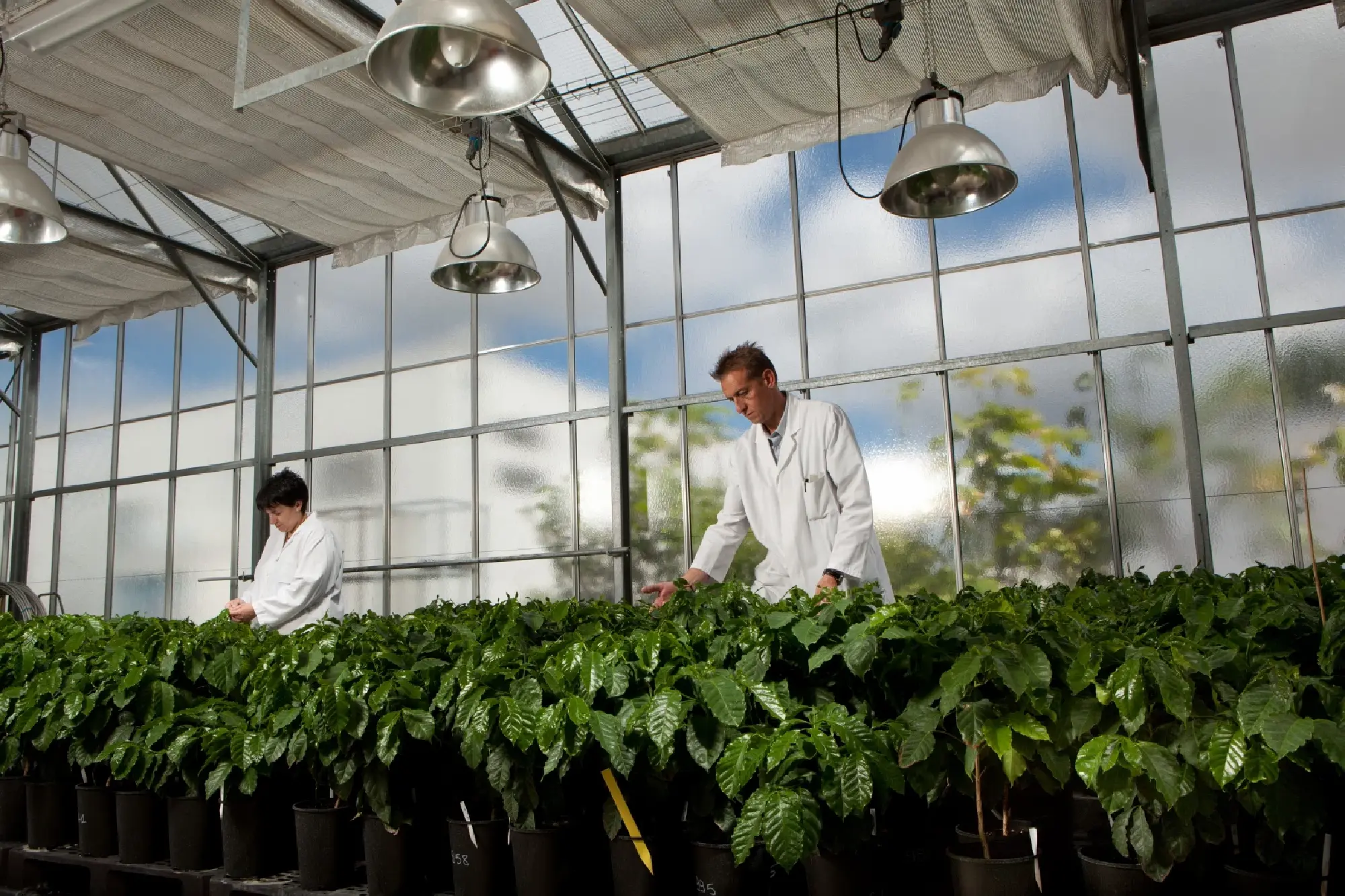 L\'Oreal moves towards the beauty of the future and holds full research on environmental science principles