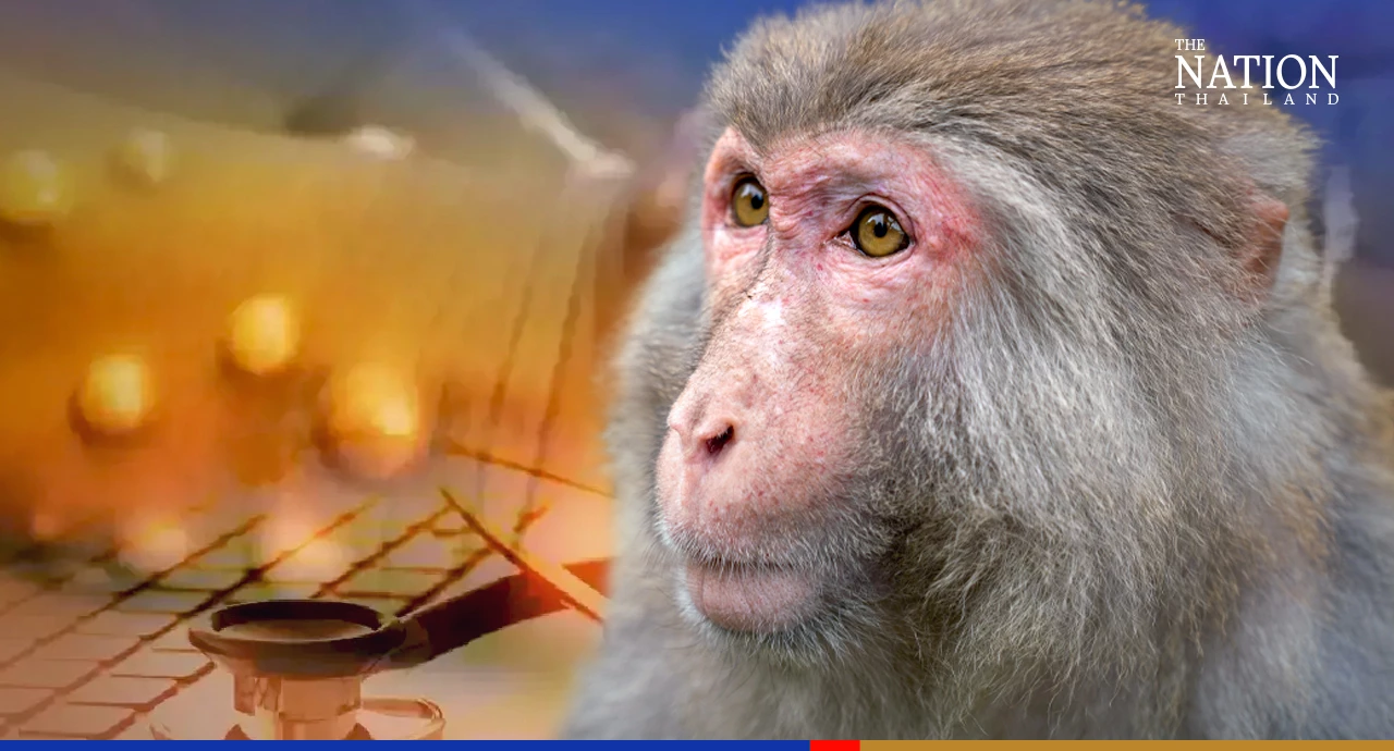 ‘No chance’ of monkeypox and Covid-19 viruses merging