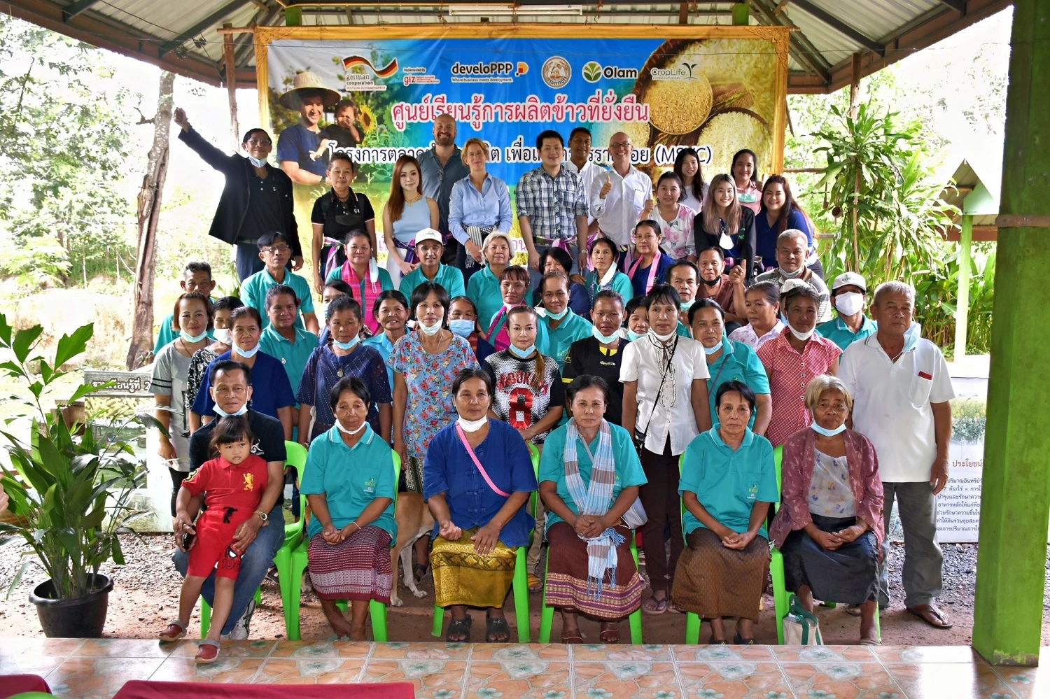 Sustainable rice project lifts incomes of smallholder farmers in Thailand