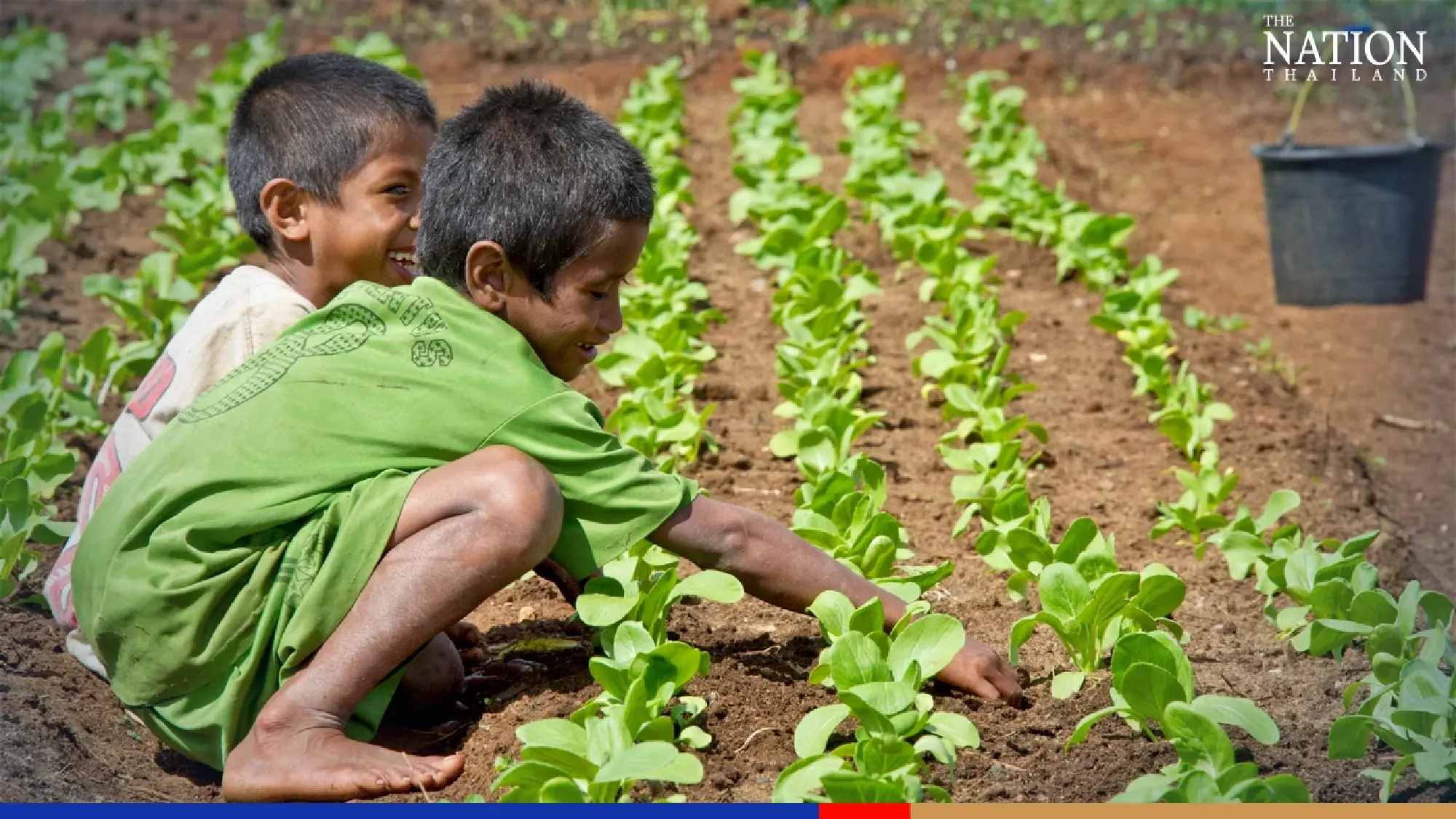 ADB plans $14-billion assistance until 2025 to tackle aggravating food crisis in Asia Pacific