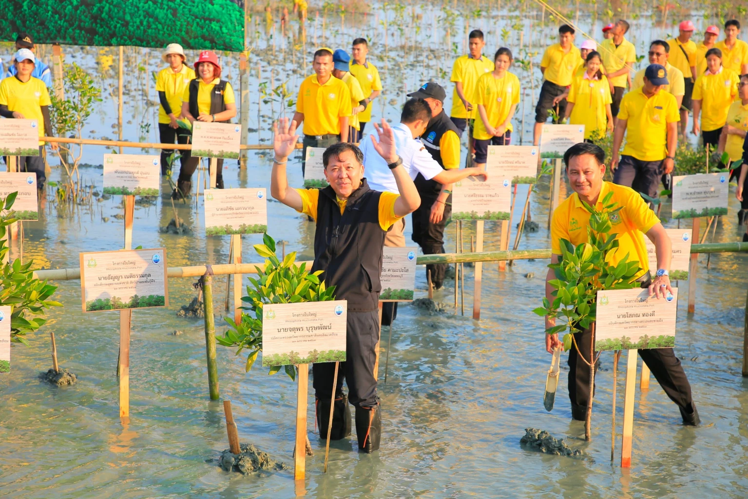 Natural Resources and Environment, Finance ministries get ready to launch the ‘Reforestation for Carbon Credit’ campaign