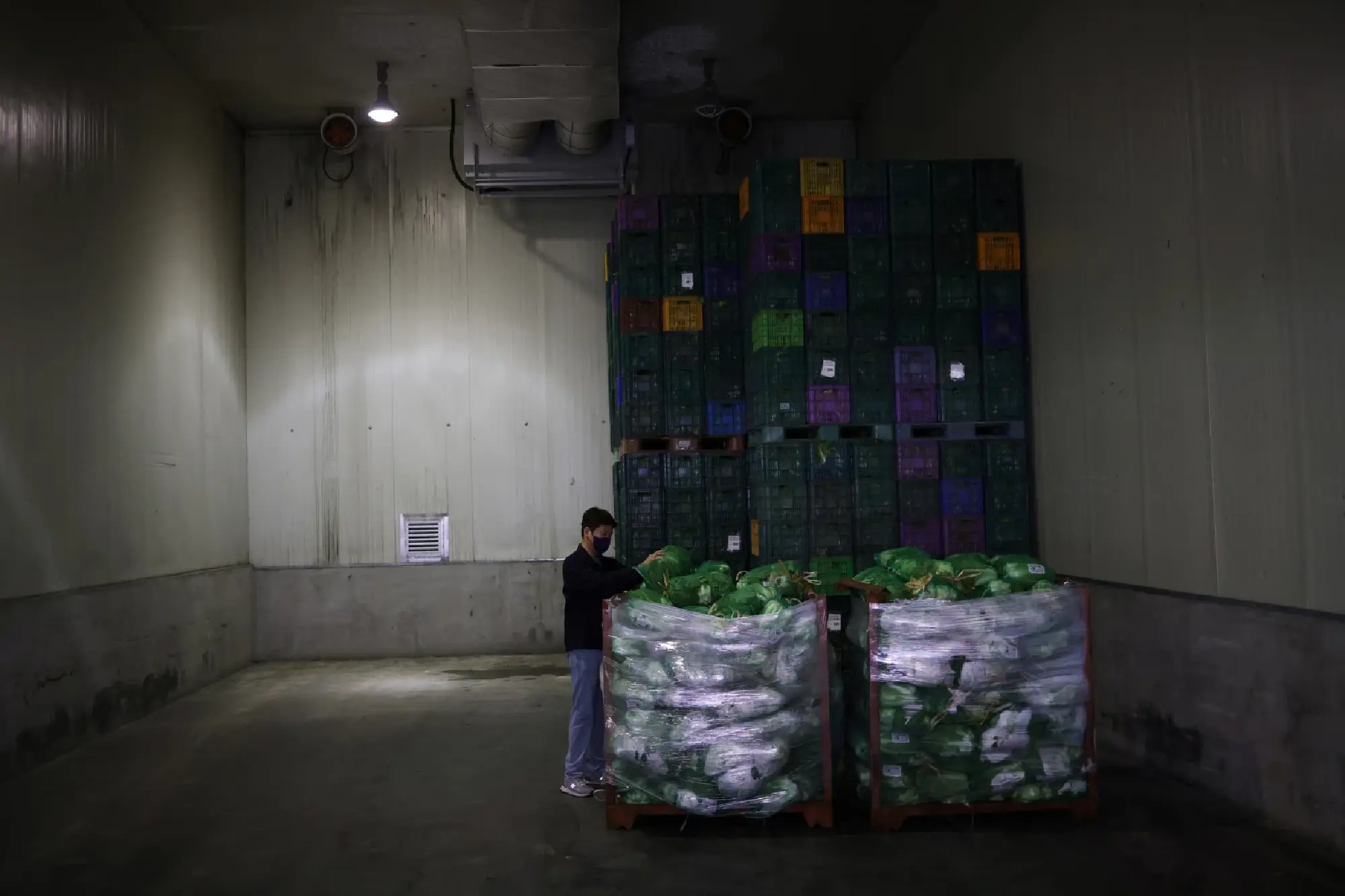 South Korea banks on massive cabbage warehouses to avert kimchi crisis
