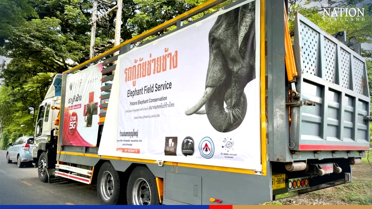 Elephant rescue mission launched after transport truck overturns