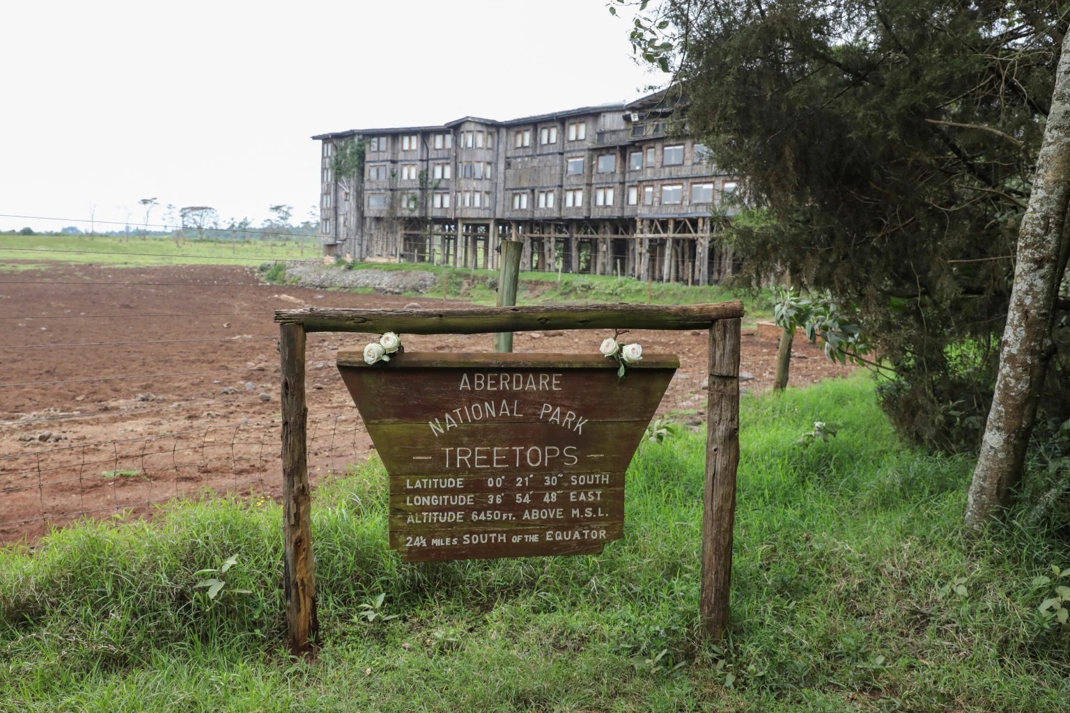 Hotel where Princess Elizabeth became Queen pays homage to the late monarch