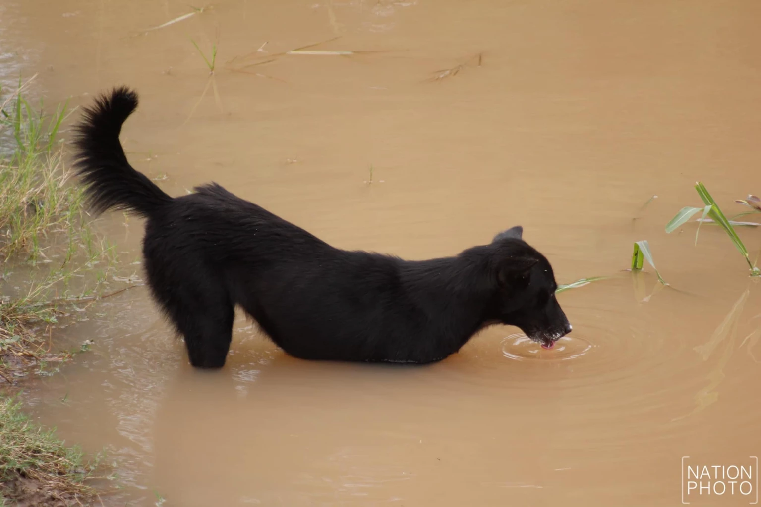 Ayutthaya hit by river overflows