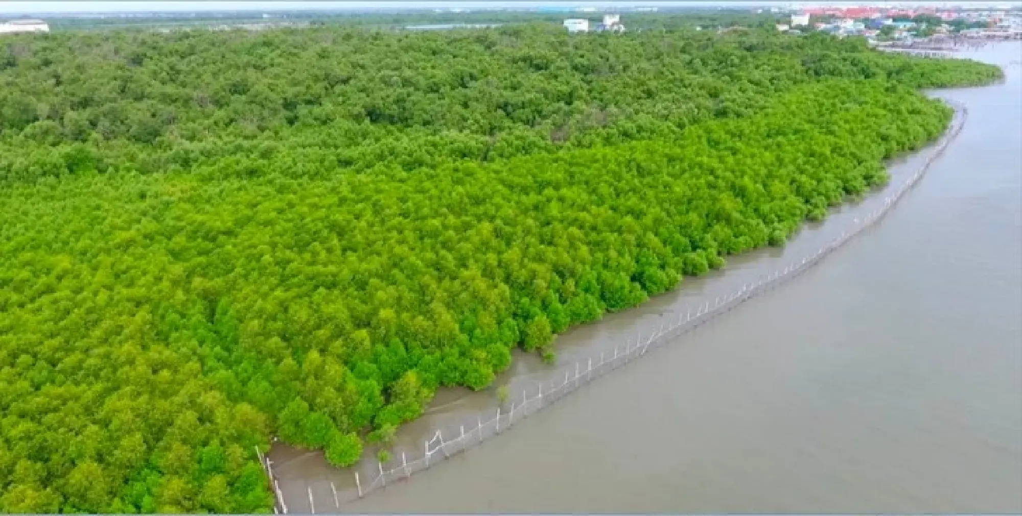 Natural Resources and Environment, Finance ministries get ready to launch the ‘Reforestation for Carbon Credit’ campaign
