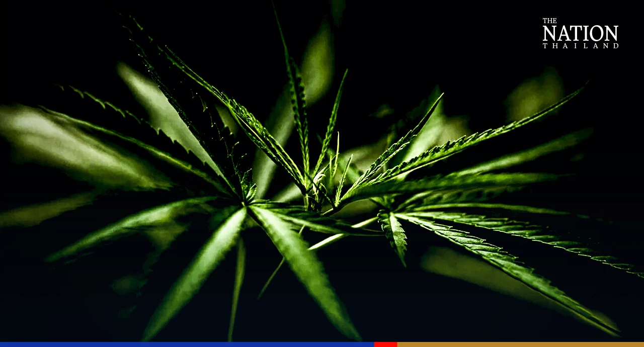 Second reading of cannabis bill aborted due to 'too many additions'