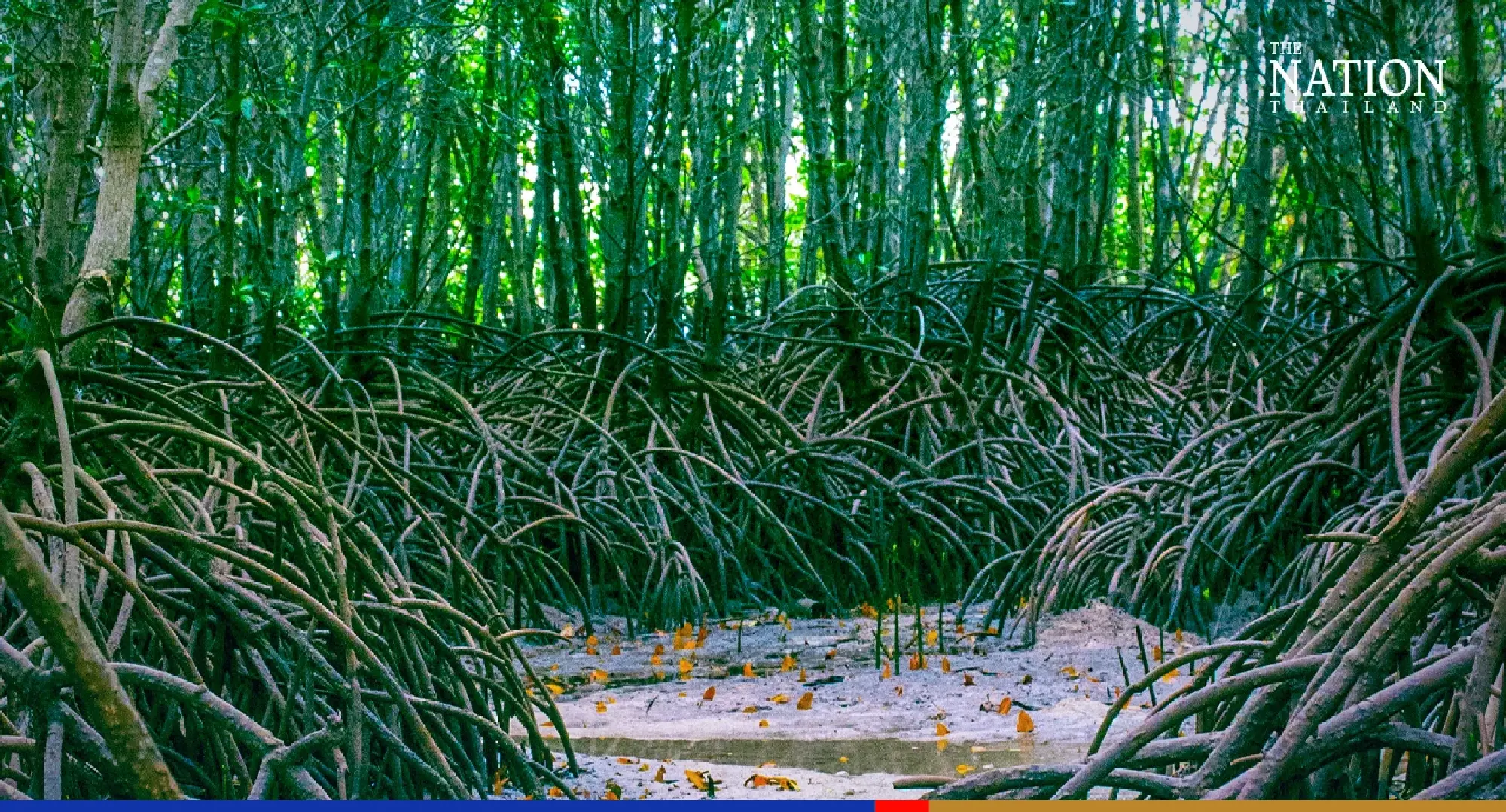 Rayong relies on metaverse to jump on Thailand’s net-zero bandwagon