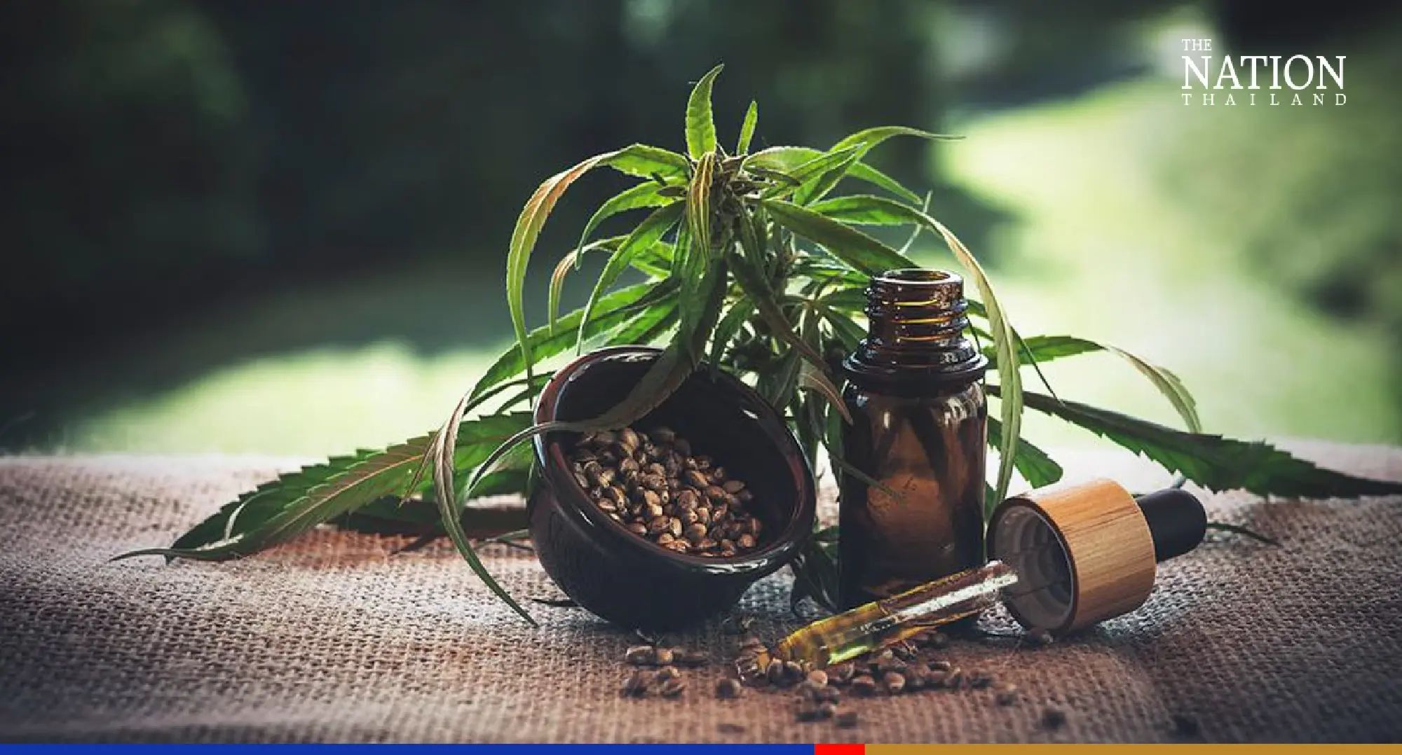 Move to snuff out cannabis bill not politically motivated, say Democrats