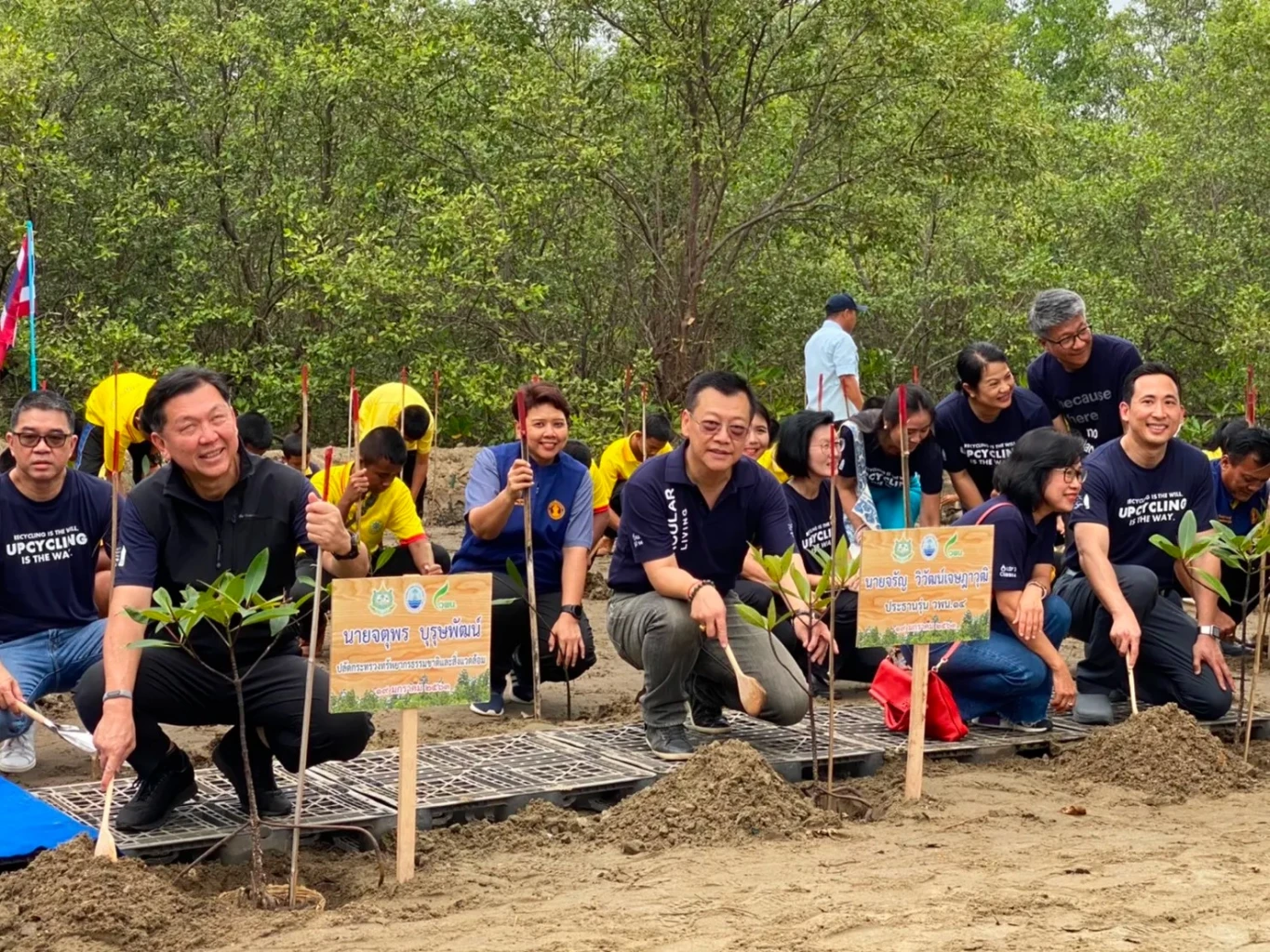 Natural Resources and Environment, Finance ministries get ready to launch the ‘Reforestation for Carbon Credit’ campaign
