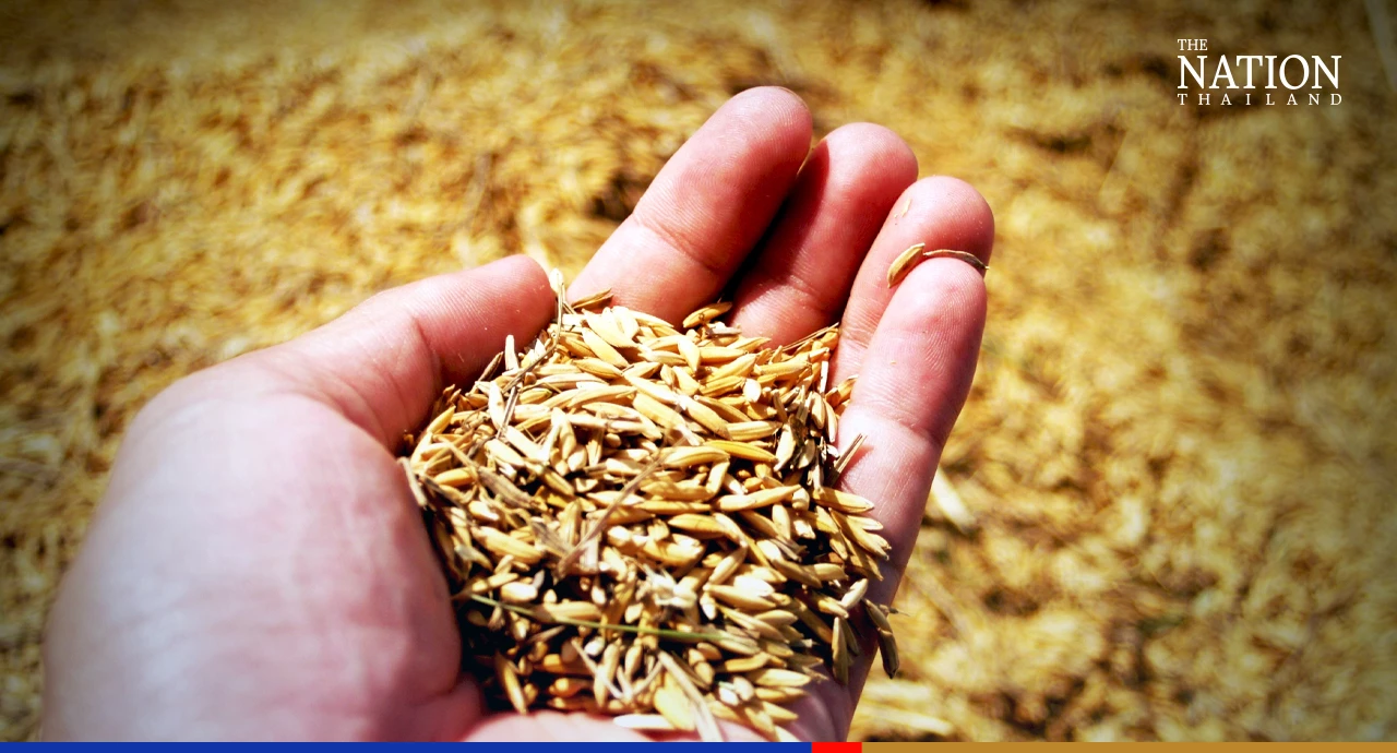 India’s control on rice exports, new orders from Iraq a boon for Thai rice industry