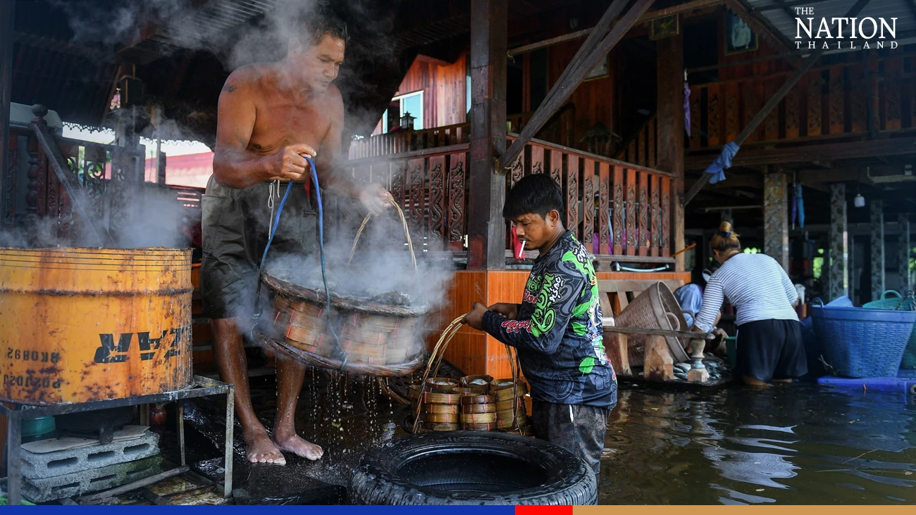 Ayutthaya villagers plead for floods to be redirected after weeks underwater