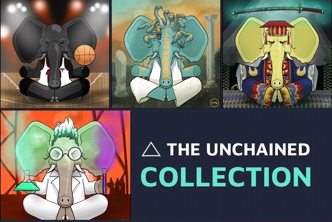 A project driven to change elephant tourism in Thailand with the use of NFT