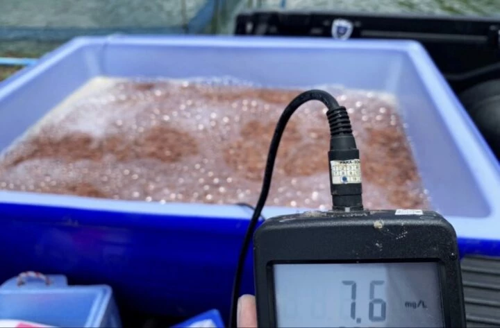 Chula research team develops nano-vaccine option for fish