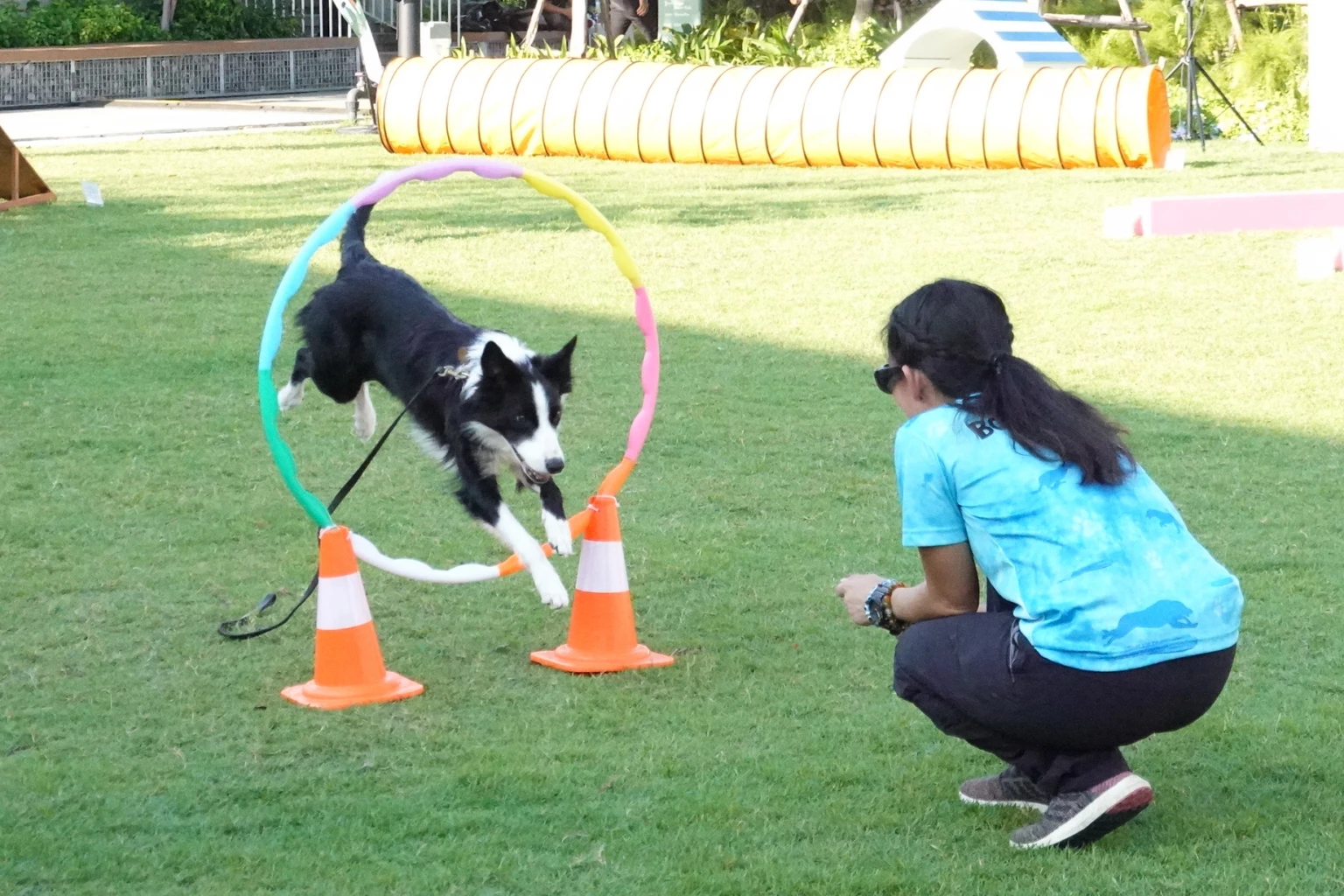 Megabangna unleashes four-legged fun with ‘School of Pets’