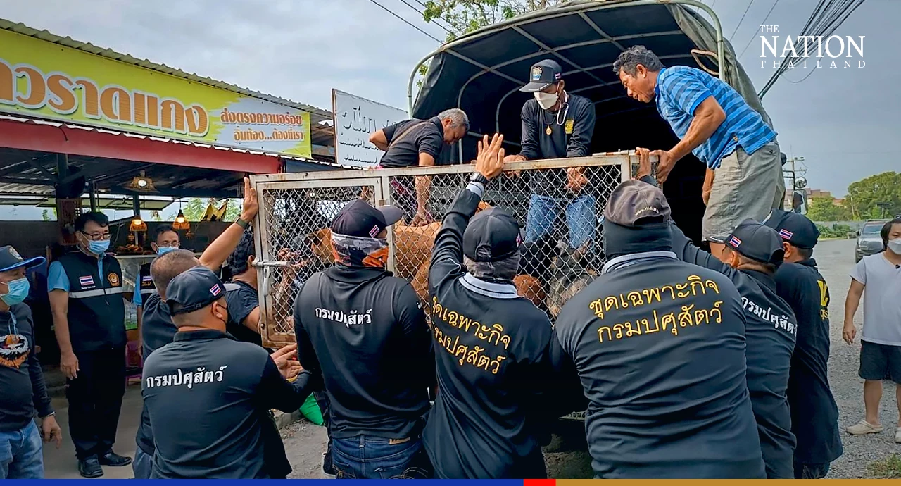 Rescuers pluck 148 furry flood victims to safety in central Thailand