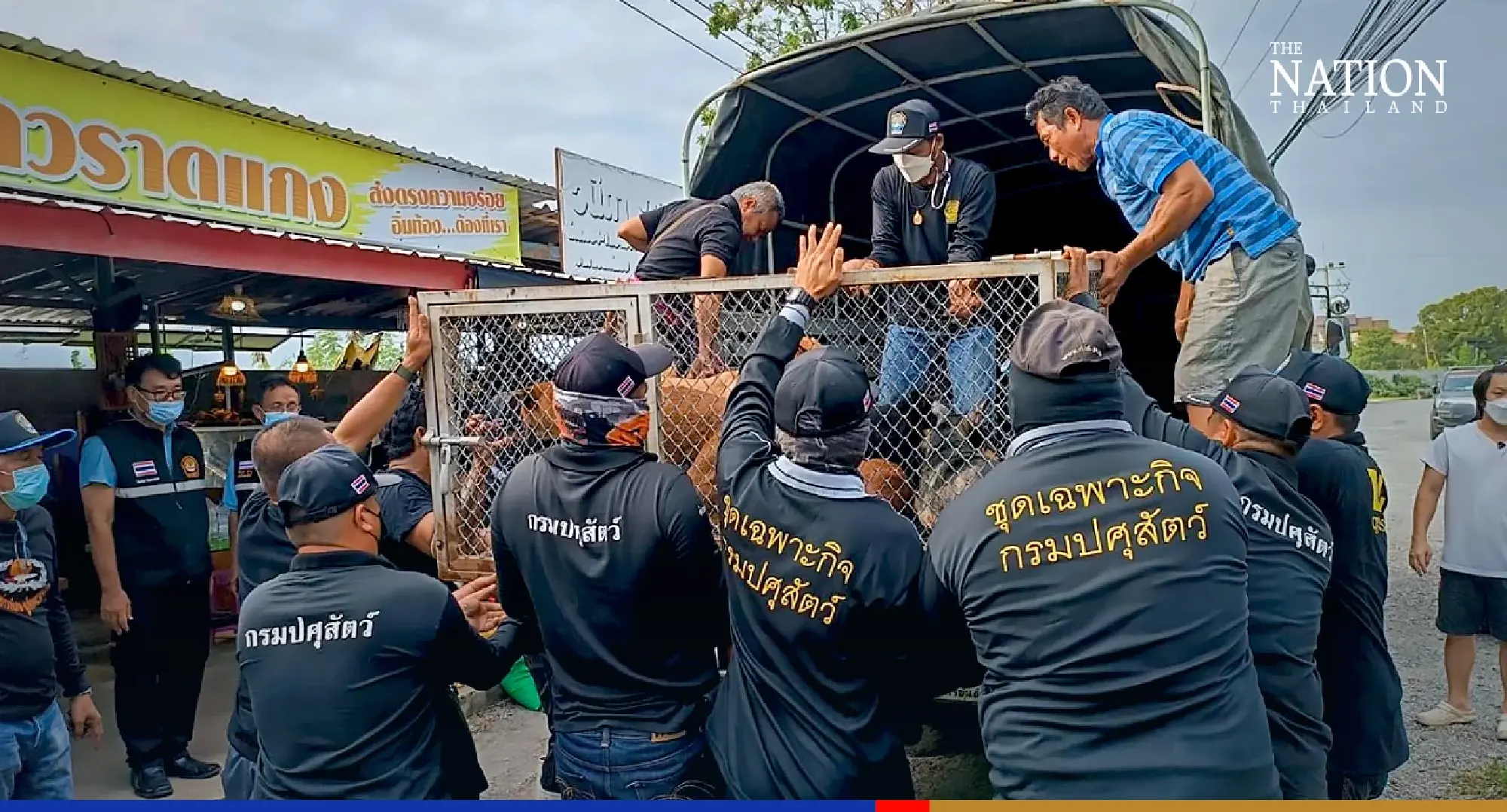 Rescuers pluck 148 furry flood victims to safety in central Thailand