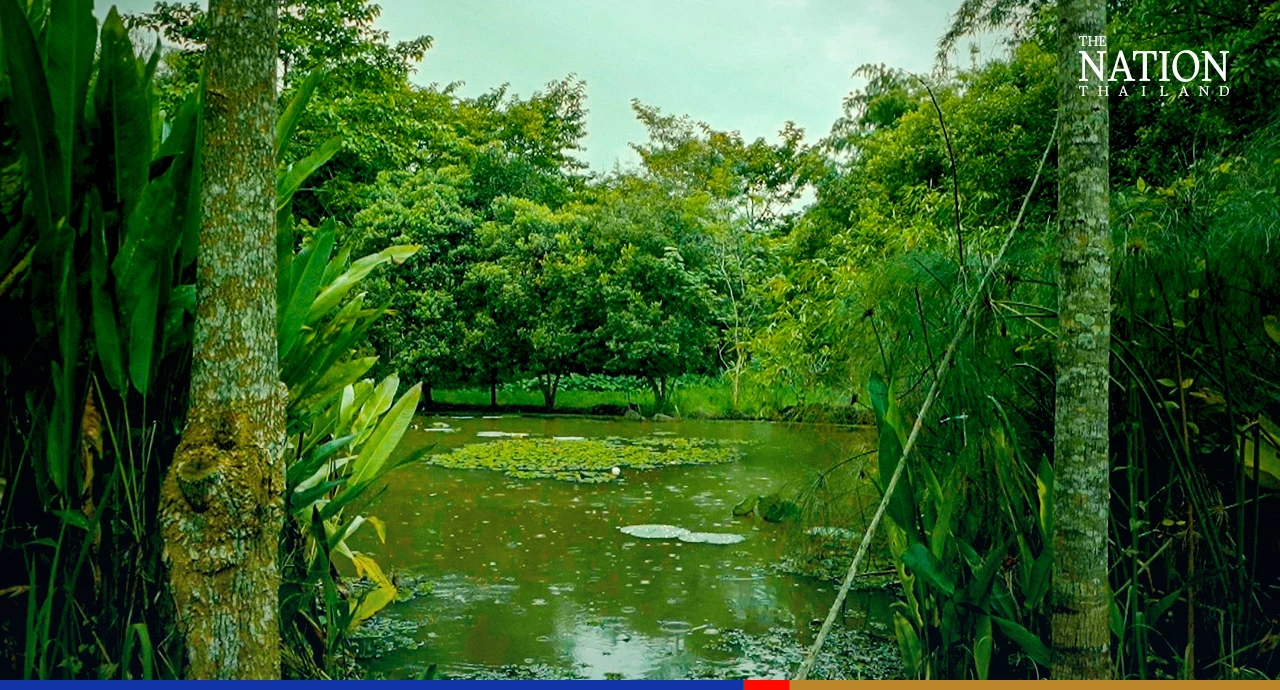 A “Soothing” Idea of Art for “Natasha”