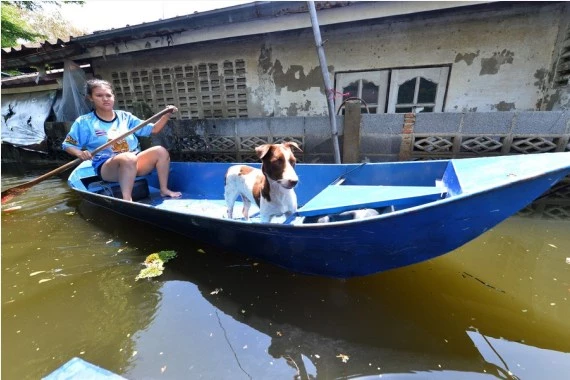 A woman travels on a boat on a flooded street in Ayutthaya, Thailand, on Oct. 18, 2022. 