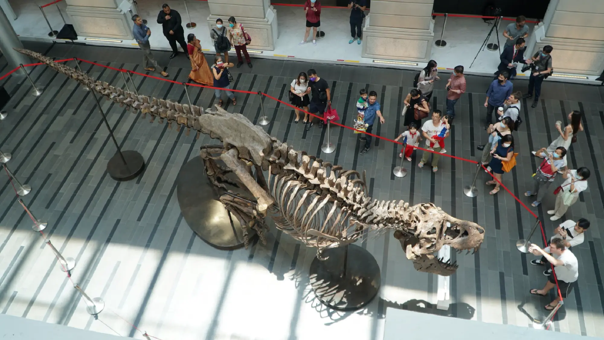 A 1.4 tonne T-Rex skeleton named Shen is exhibited at the Victoria Concert Hall during an event organised by auction house Christie's Hong Kong, ahead of the first T-Rex auction in Asia, in Singapore, October 28, 2022. REUTERS