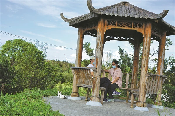 Shanghai gets a ‘purrfect’ place for stray cats