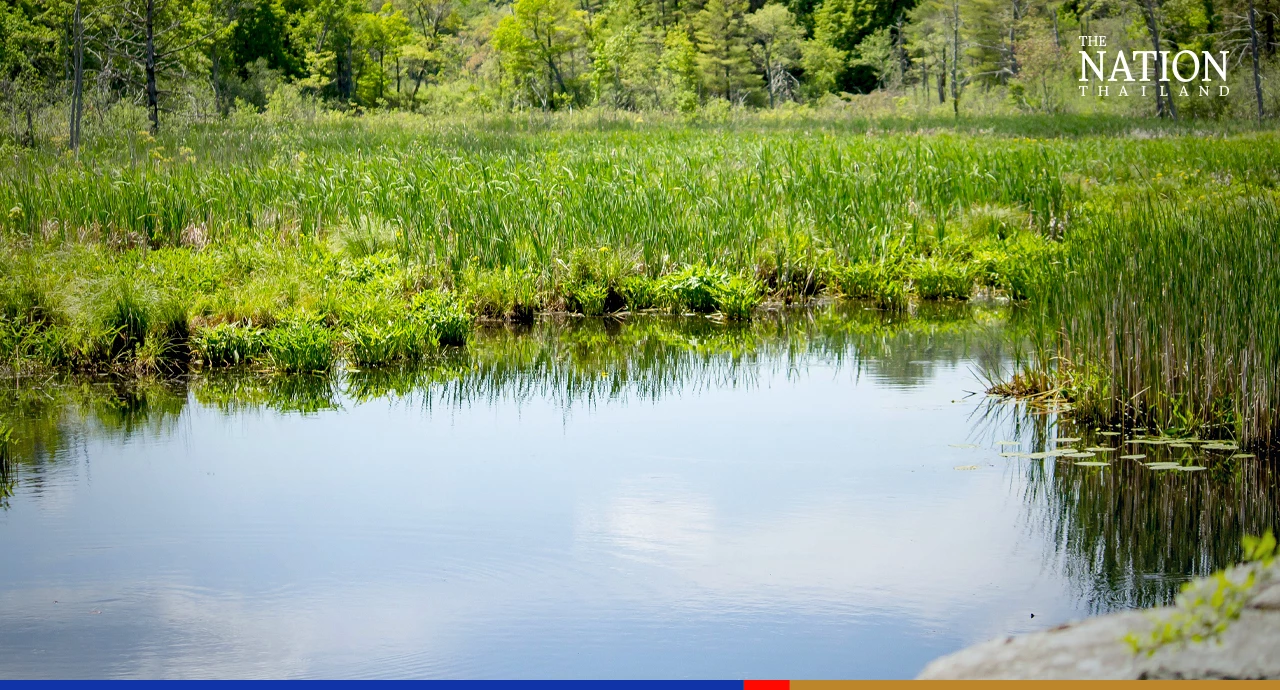 Floodplains north of Bangkok nearing capacity as more rain forecast