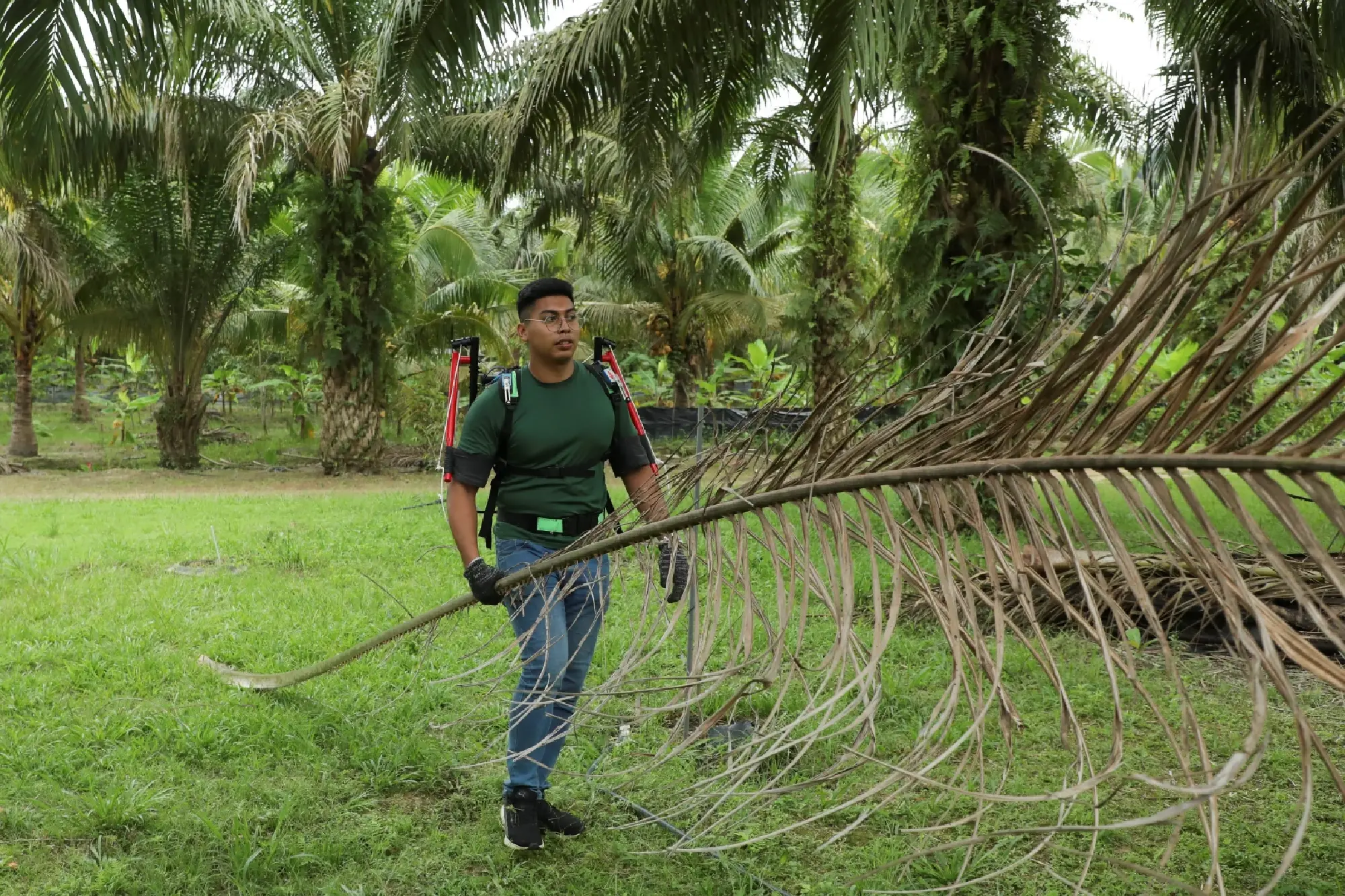 Malaysia unveils exoskeleton to boost palm oil harvesting amid labour crunch